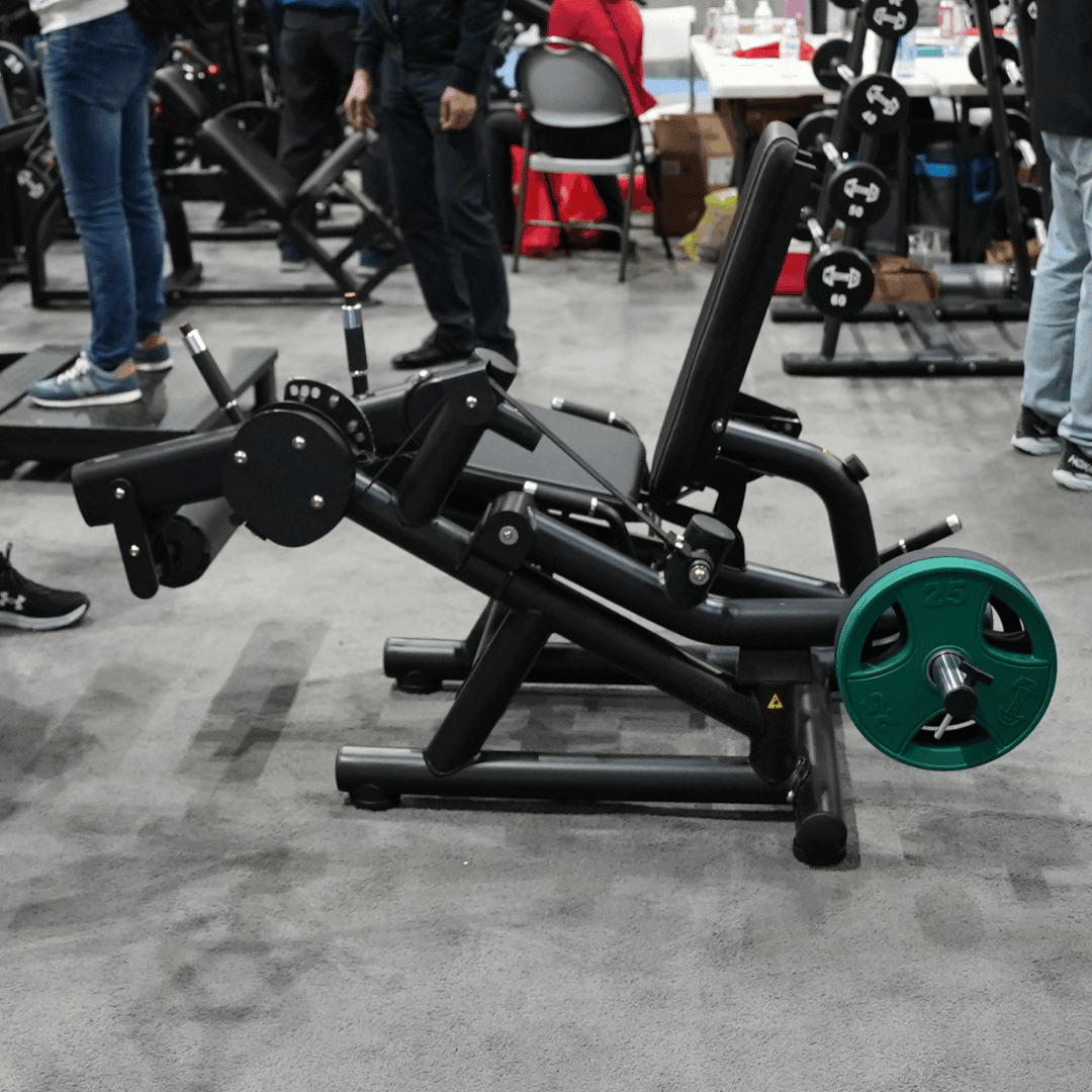 Muscle D Fitness - Pro Strength Leg Extension - Prone Leg Curl Combo - Plate Loaded Quad & Hamstring Machine