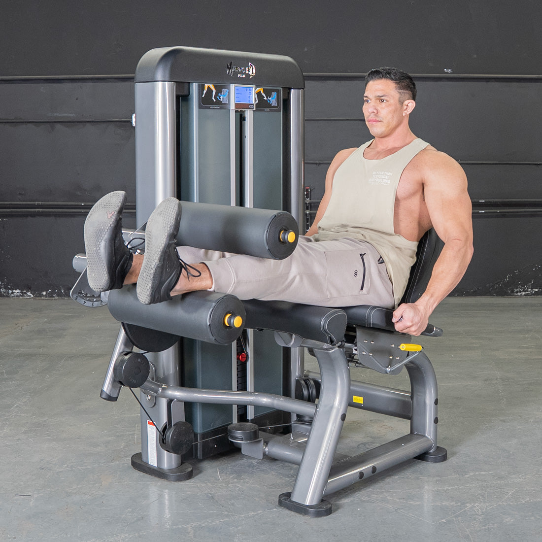 Muscle D Fitness - Elite Plus Leg Extension / Seated Leg Curl Combo