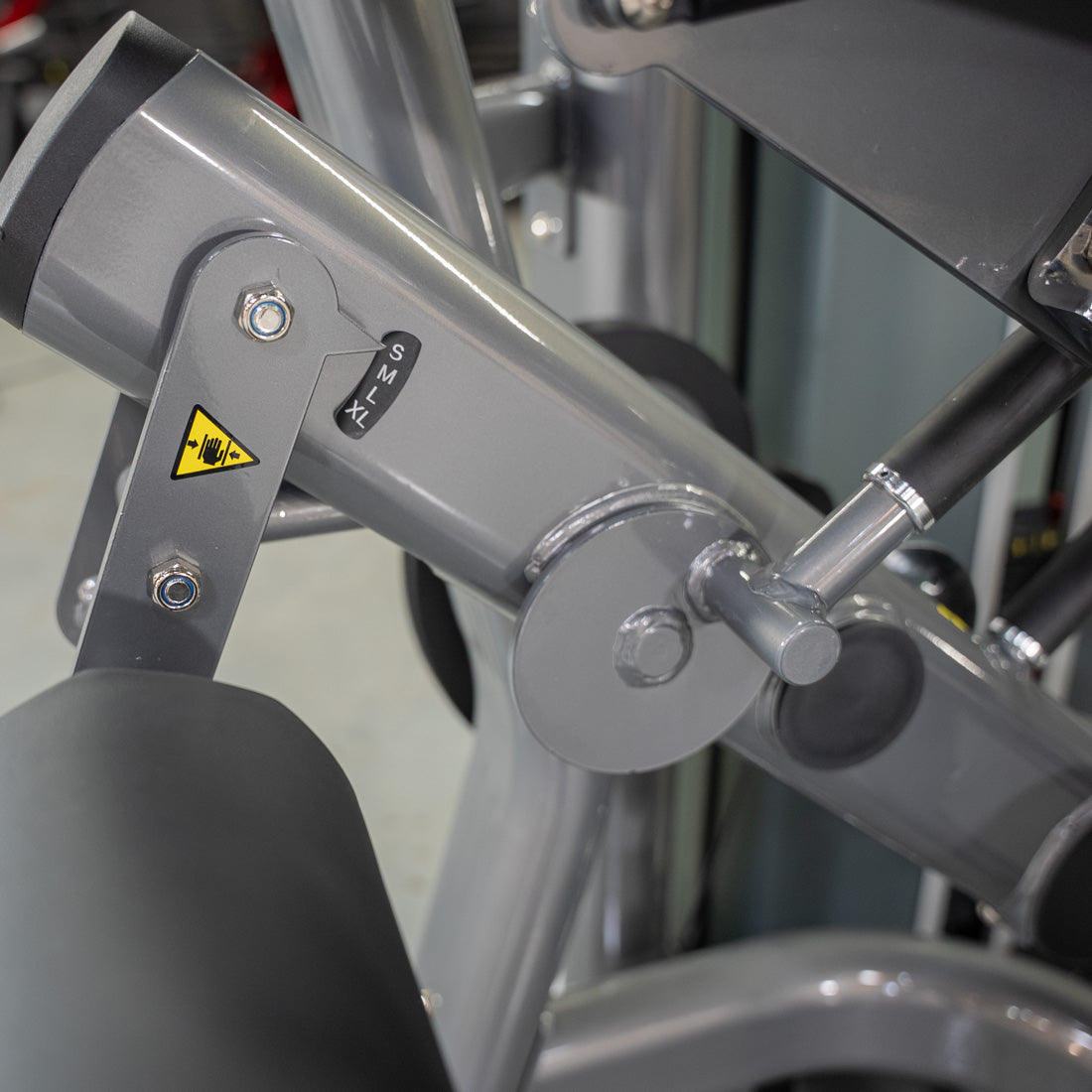 Muscle D Fitness - Elite Plus Seated Leg Curl | Commercial Gym Equipment