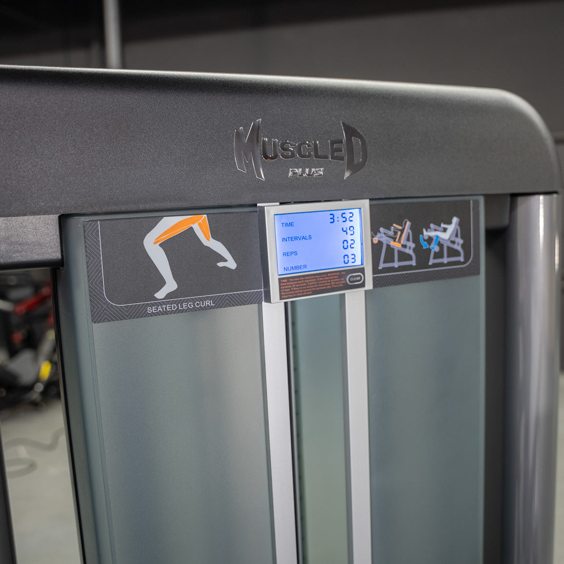 Muscle D Fitness - Elite Plus Seated Leg Curl | Commercial Gym Equipment