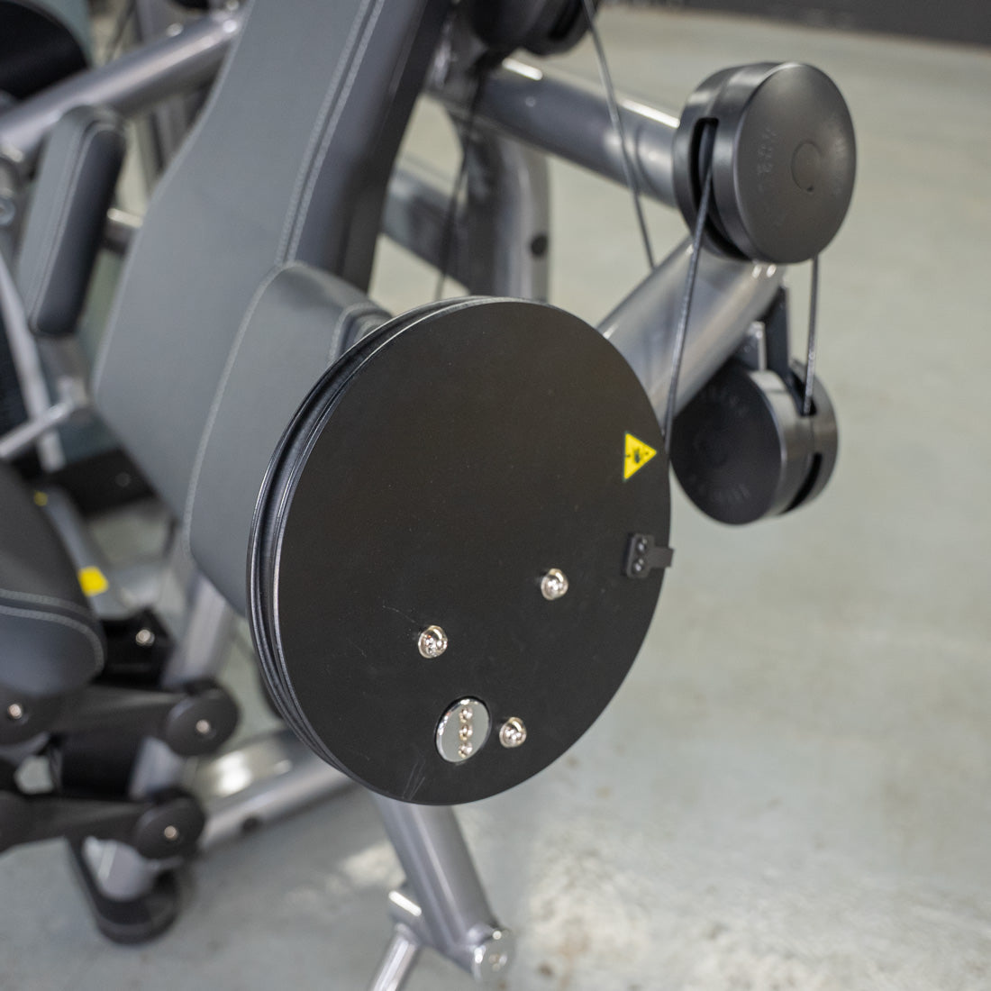 Muscle D Fitness - Elite Plus Biceps Curl Machine