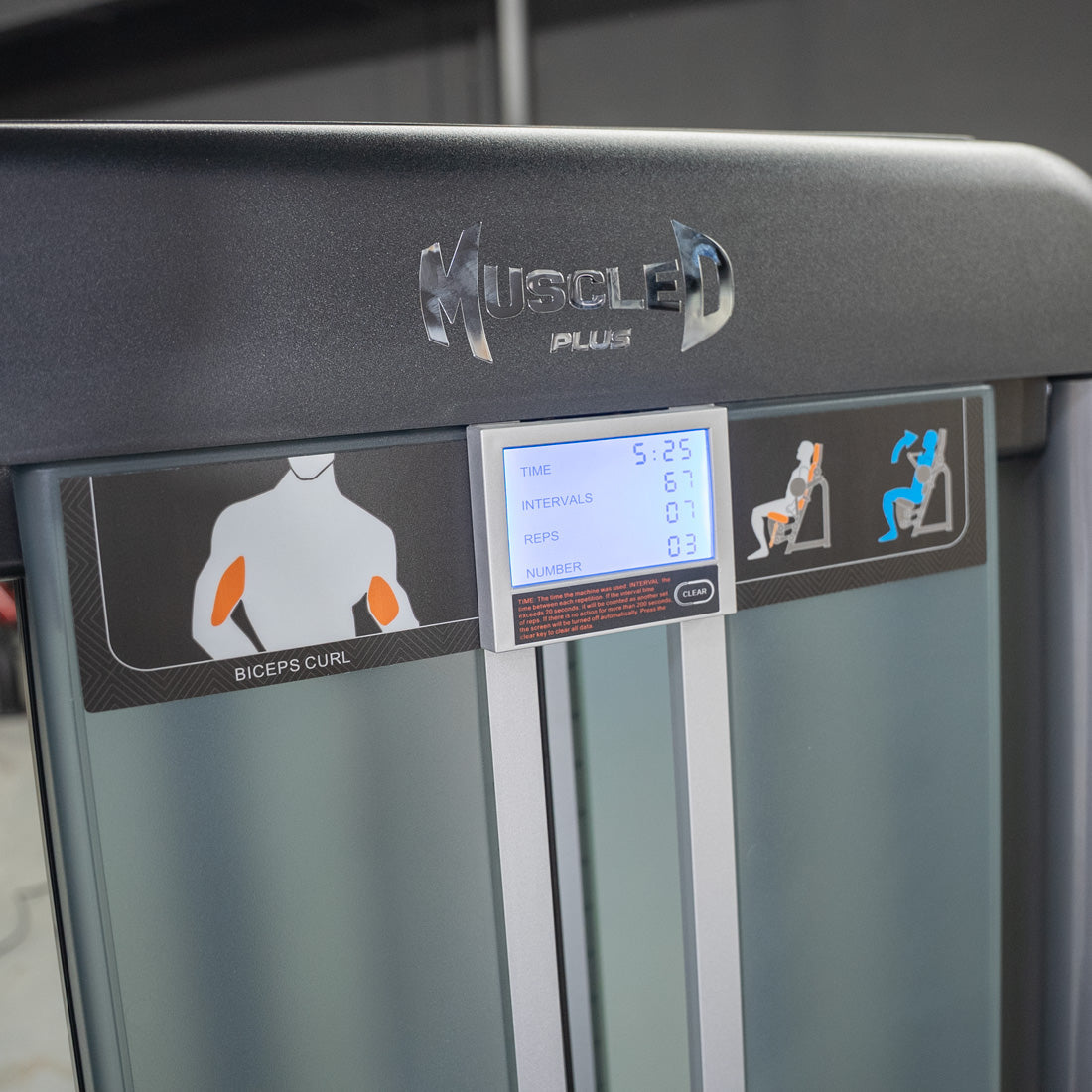 Muscle D Fitness - Elite Plus Biceps Curl Machine