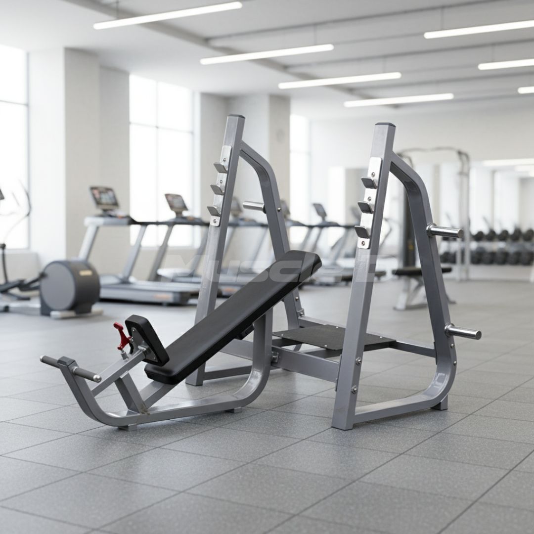 Muscle D Fitness - Olympic Incline Bench - 11 Gauge Steel - Commercial Upholstery - Weight Storage Pegs