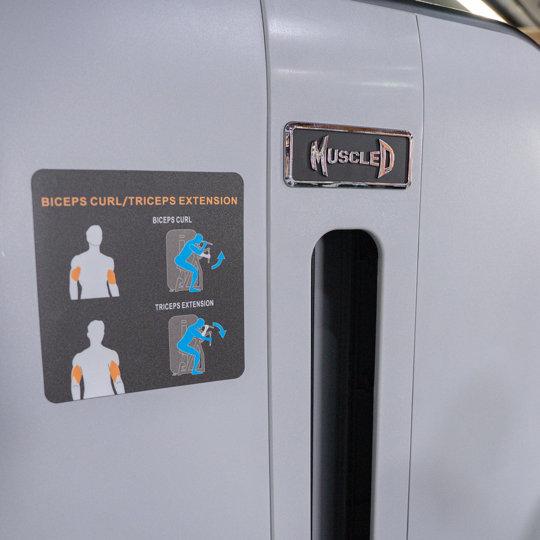 Muscle D Fitness - Vogue Biceps Triceps Combo - Commercial Selectorized Machine