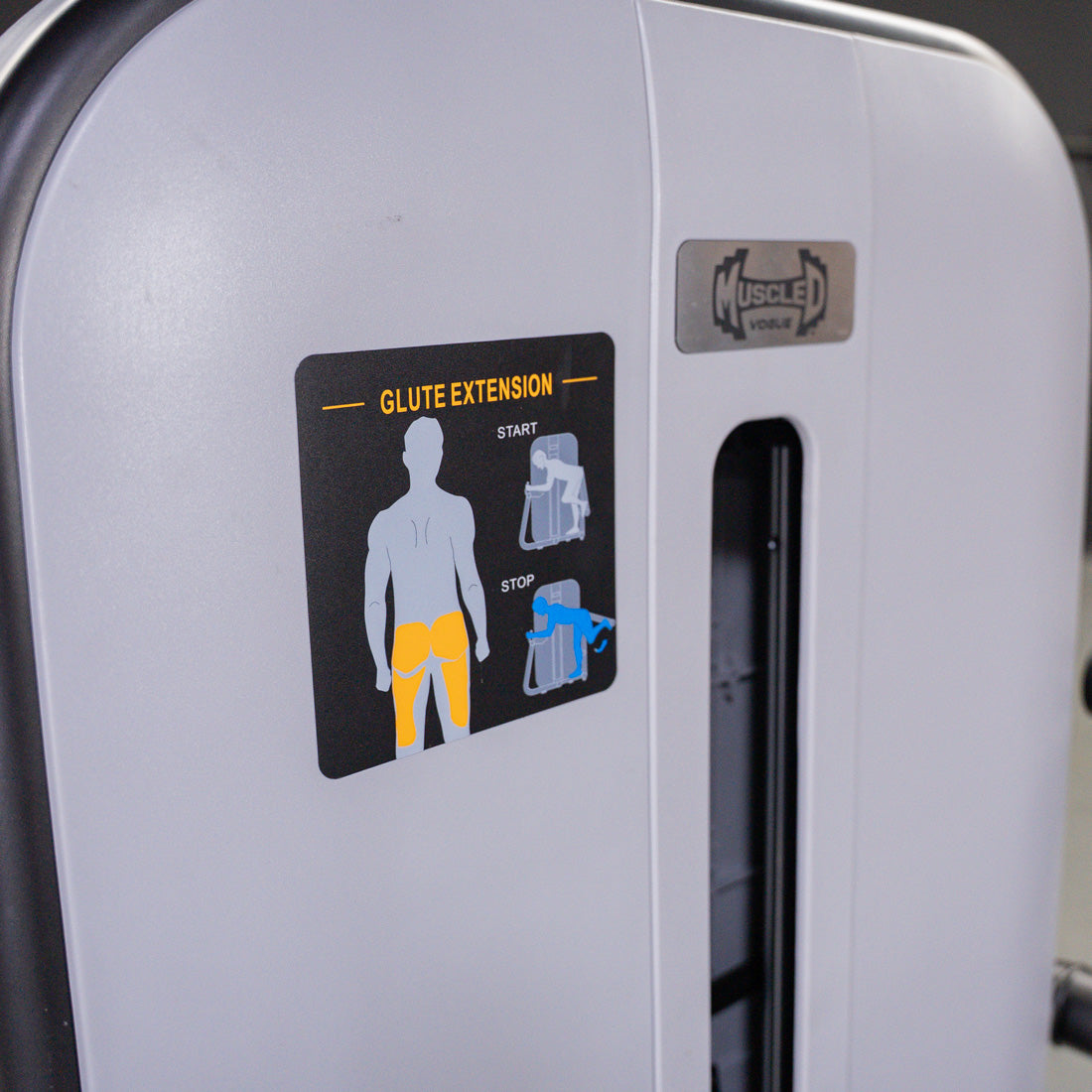 Muscle D Fitness - Vogue Glute Extension Machine - Commercial Gym