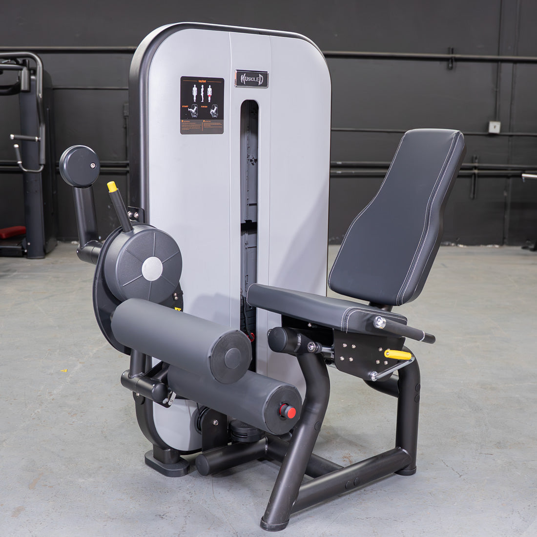 Muscle D Fitness - Vogue Seated Leg Curl - Commercial Hamstring Machine