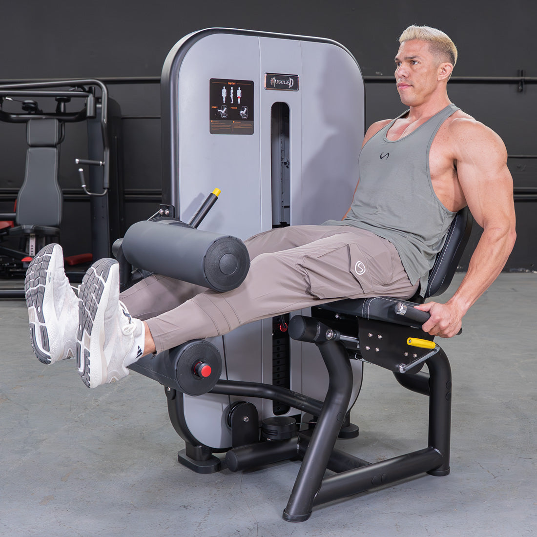 Muscle D Fitness - Vogue Seated Leg Curl - Commercial Hamstring Machine