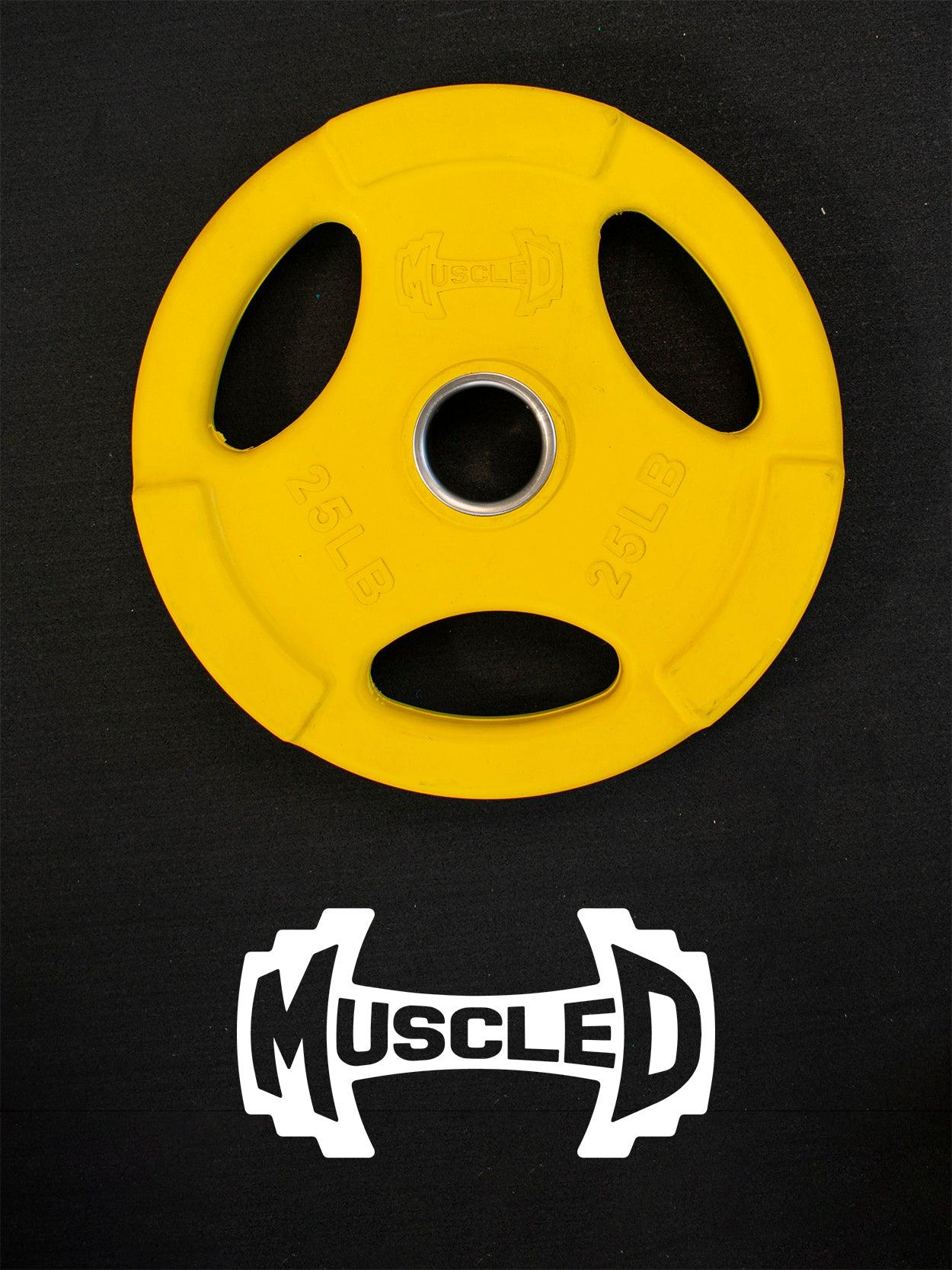 Muscle D Fitness - RUBBER COATED COLORED OLYMPIC PLATES: Rubber Plates, per Pair - Weights Pairs