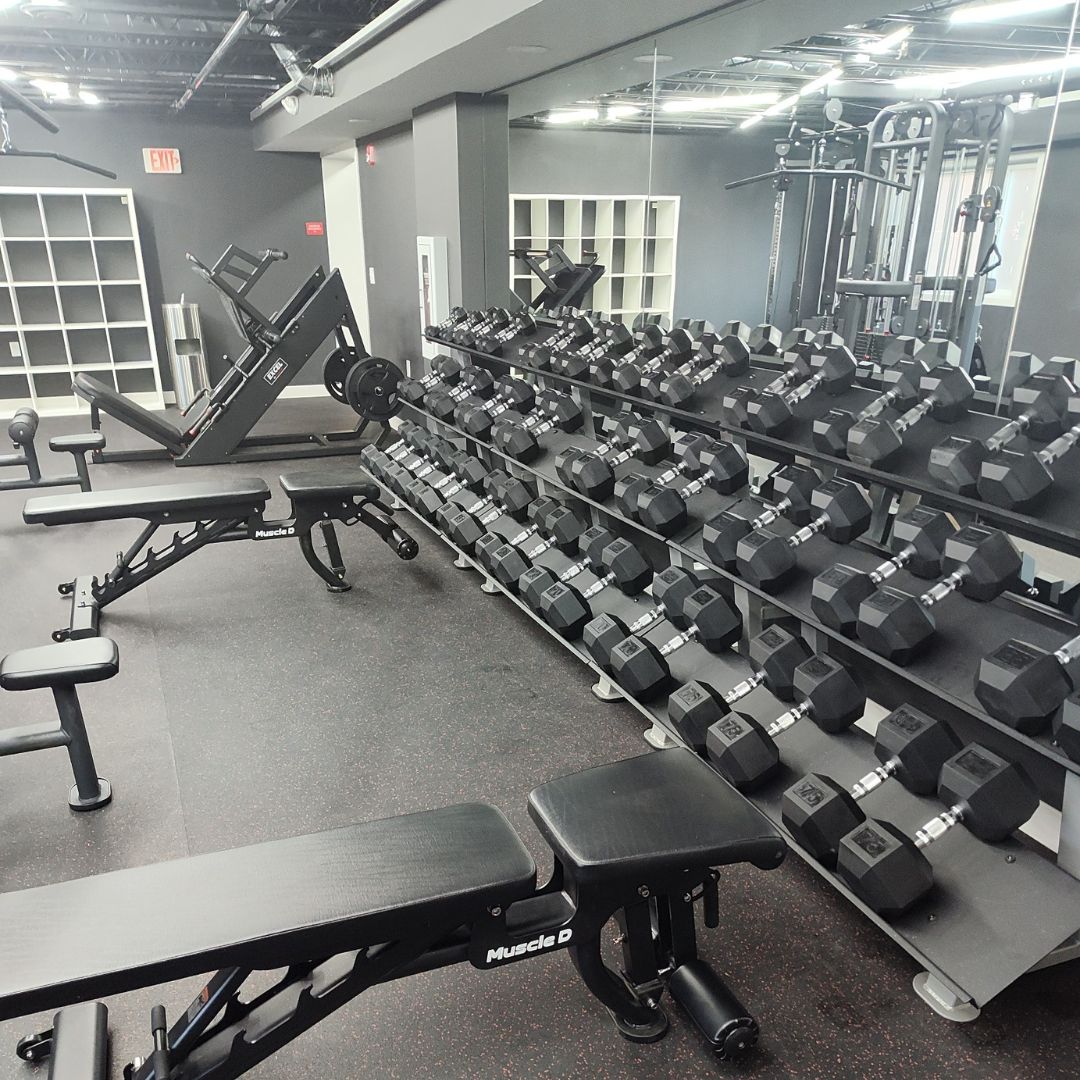 Muscle D Fitness - Rubber Hex Dumbbell Set - Steel Handle - Quality knurling - Weightlifting