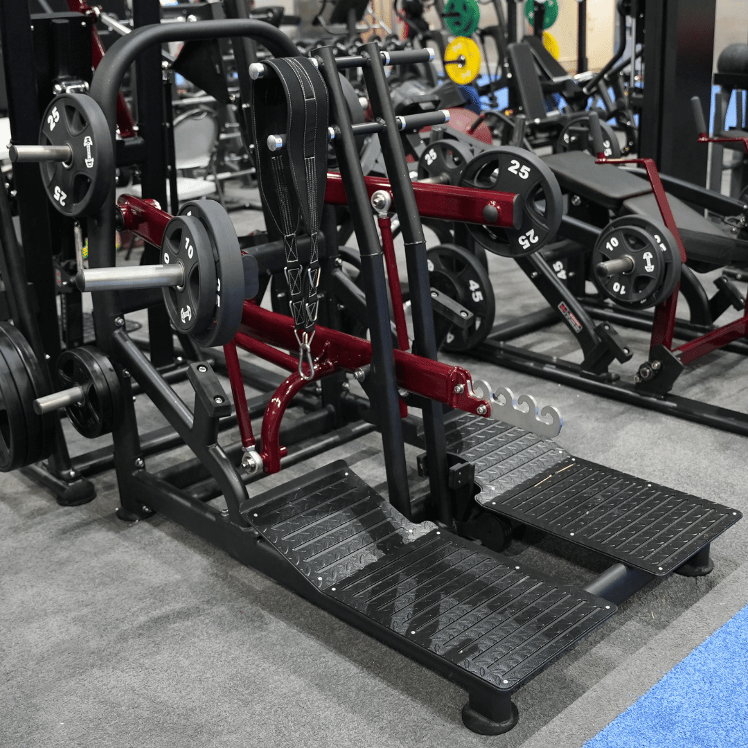 Muscle D Fitness - Pro Strength Belt Squat - Standing Belted Hip Thrust - Plate Loaded