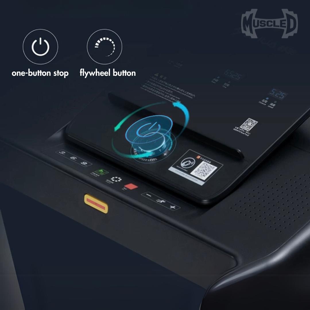 Muscle D Fitness - Light Commercial Folding Treadmill - LED Display - Heart Rate Monitor - Safety Clip