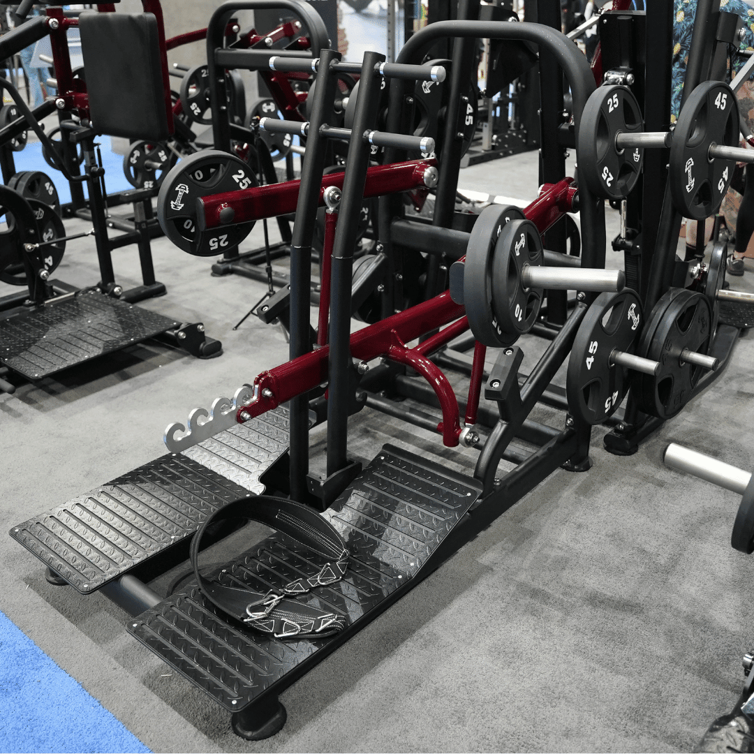 Muscle D Fitness - Pro Strength Belt Squat - Standing Belted Hip Thrust - Plate Loaded