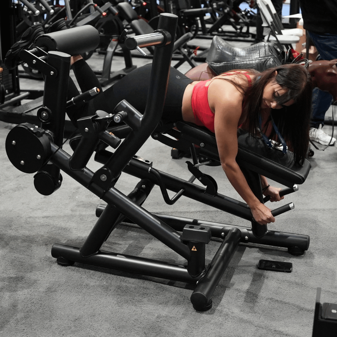 Muscle D Fitness - Pro Strength Leg Extension - Prone Leg Curl Combo - Plate Loaded Quad & Hamstring Machine