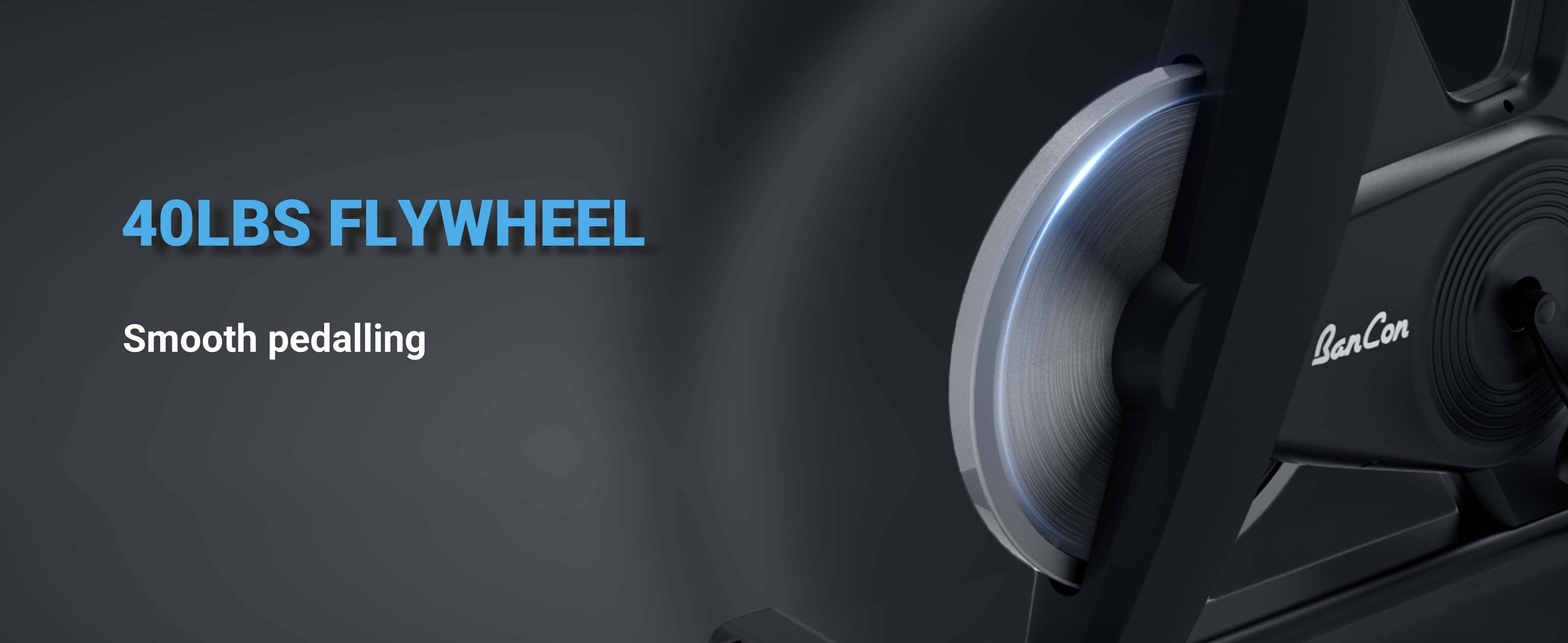 Muscle D Fitness - Home Upright Bike - Exercise Bike - Adjustable Seat and Handle Bars