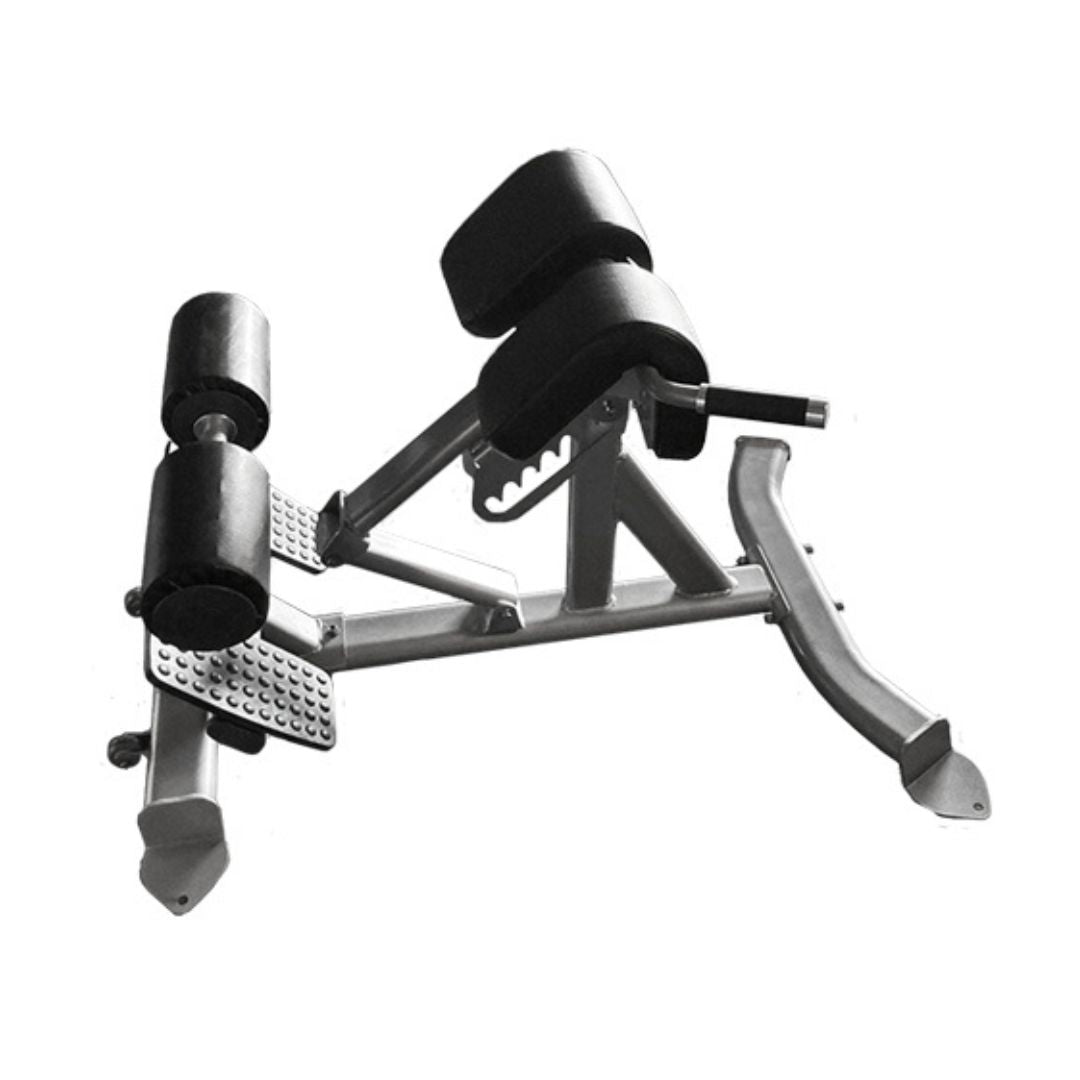 Muscle D Fitness - Back Extension Bench - Premium Upholstery Lower Back, Roman Chair