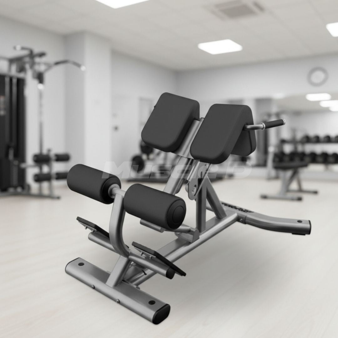 Muscle D Fitness - Back Extension Bench - Premium Upholstery Lower Back, Roman Chair