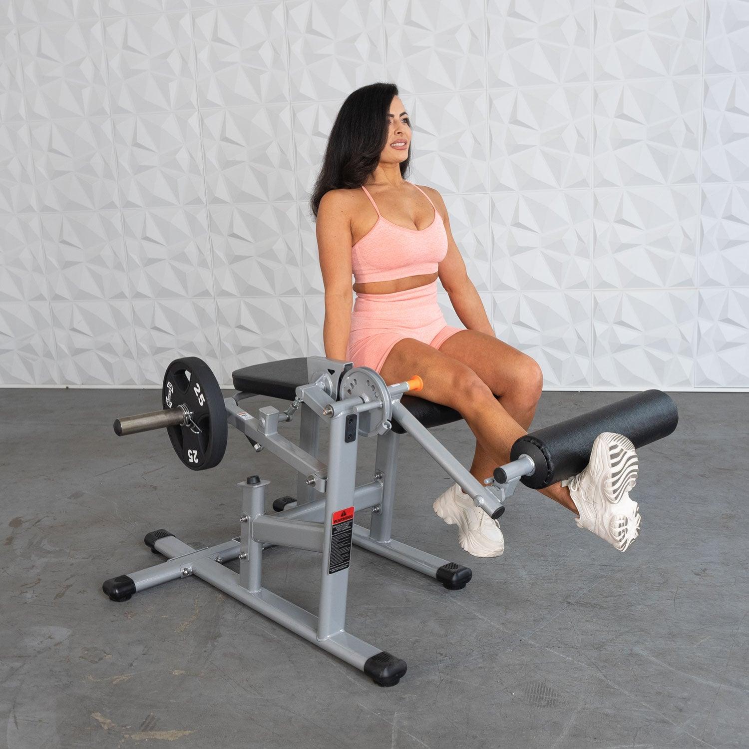 Muscle D Fitness - Excel Base Leg Extension - Leg Curl Combo - Machine