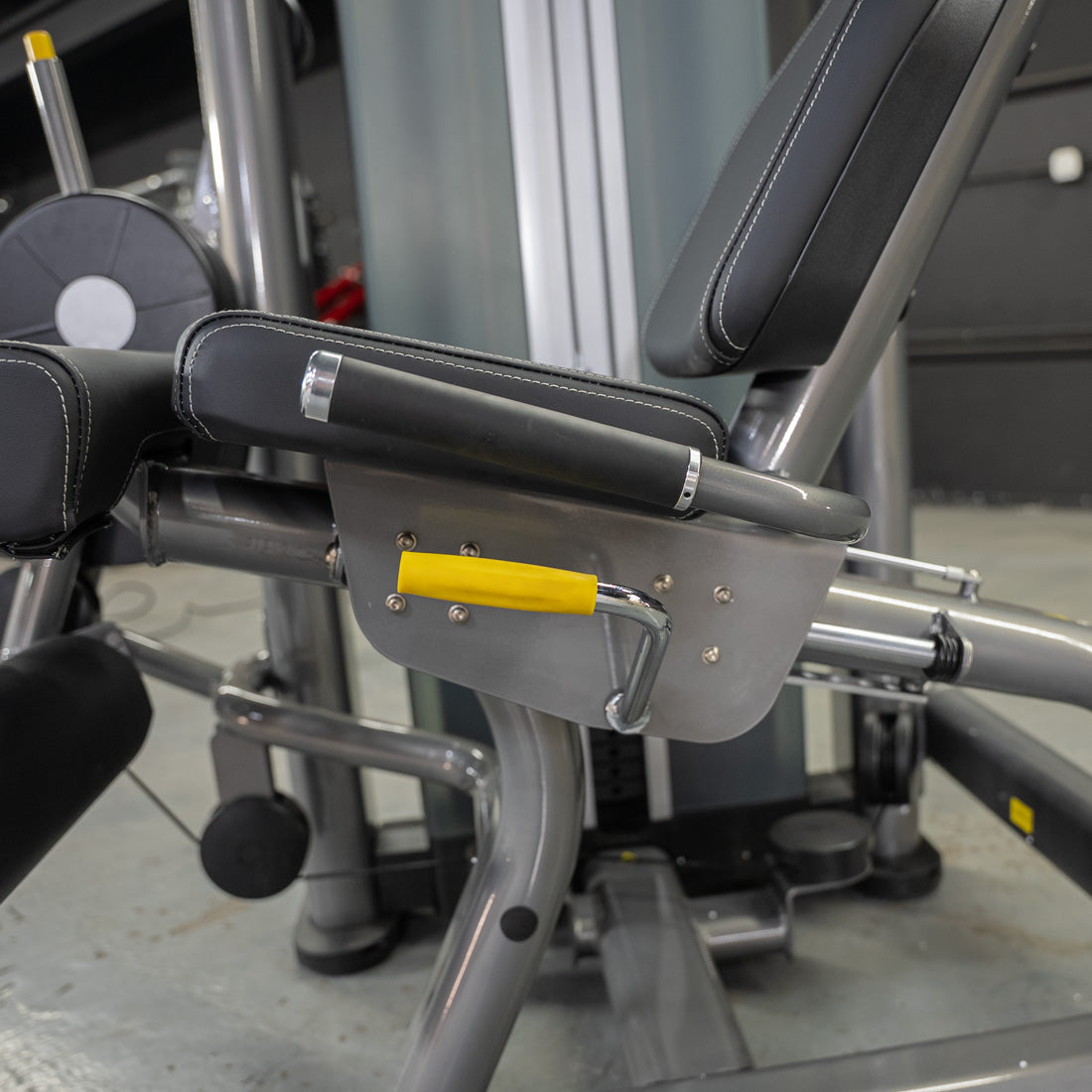 Muscle D Fitness - Elite Plus Leg Extension / Seated Leg Curl Combo