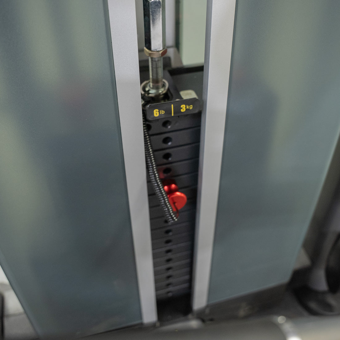 Muscle D Fitness - Elite Plus Leg Extension / Seated Leg Curl Combo