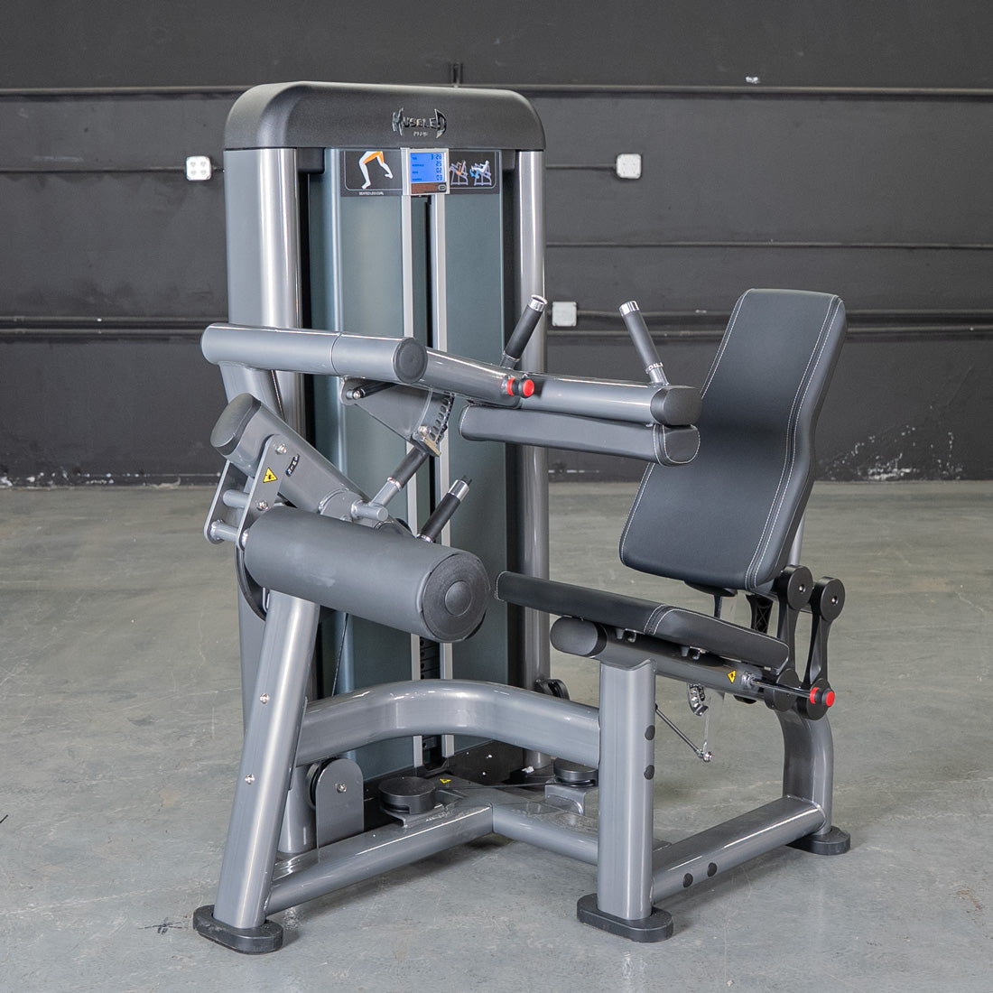 Muscle D Fitness - Elite Plus Seated Leg Curl | Commercial Gym Equipment