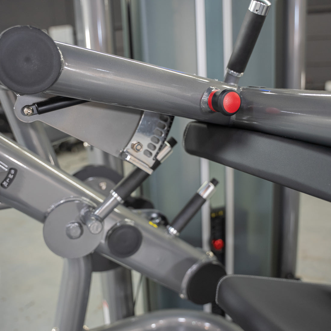 Muscle D Fitness - Elite Plus Seated Leg Curl | Commercial Gym Equipment