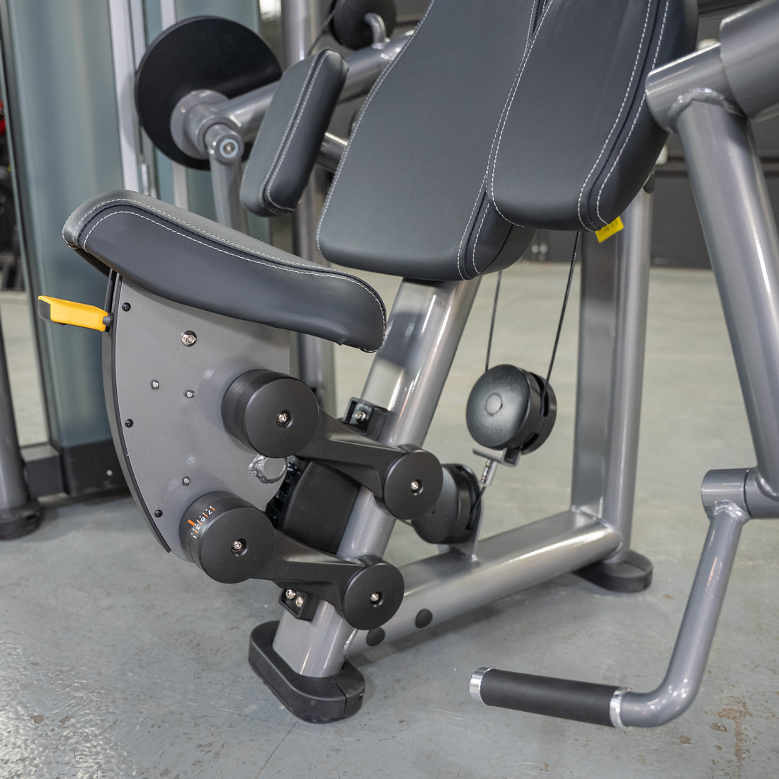 Muscle D Fitness - Elite Plus Biceps Curl Machine