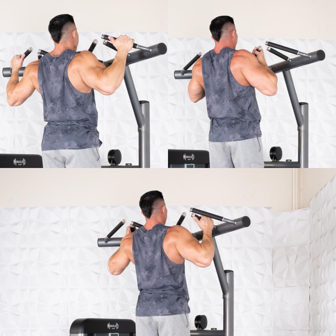 Muscle D Fitness - Elite Plus Assisted Chin Dip Machine