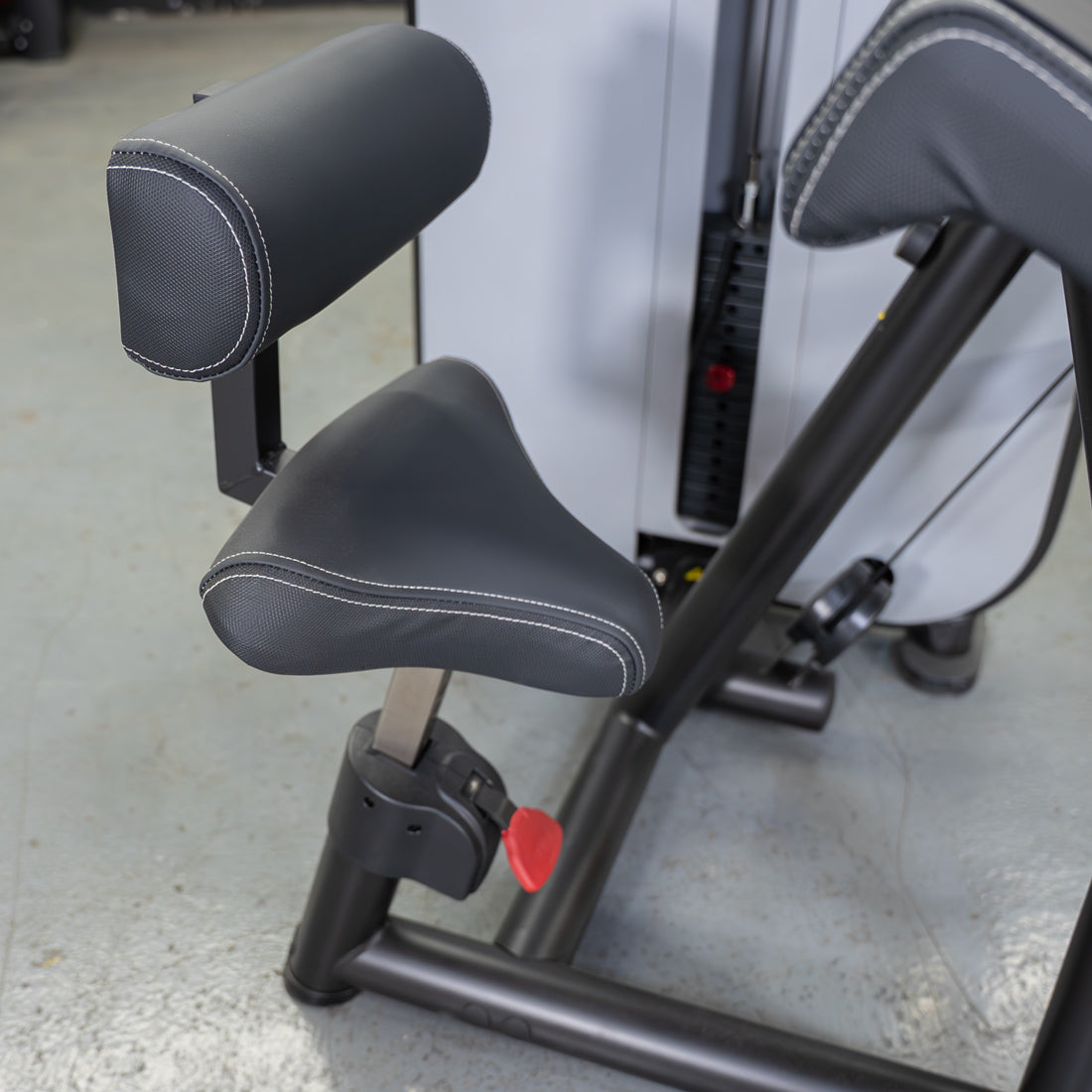 Muscle D Fitness - Vogue Biceps Triceps Combo - Commercial Selectorized Machine