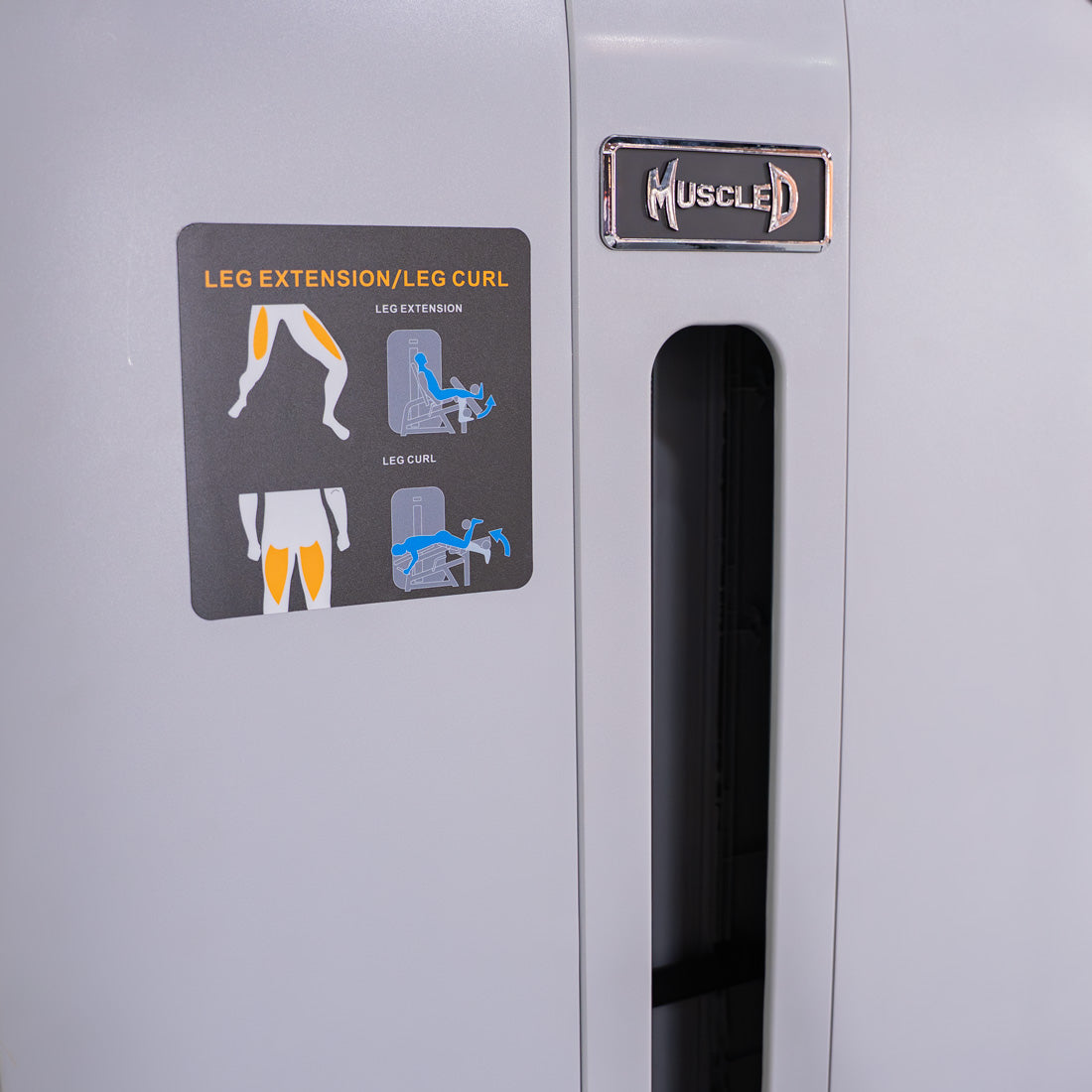 Muscle D Fitness - Vogue Leg Extension - Prone Leg Curl Combo - Commercial Gym Equipment