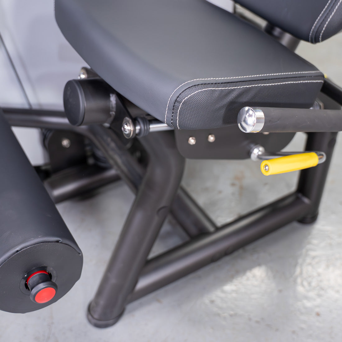 Muscle D Fitness - Vogue Seated Leg Curl - Commercial Hamstring Machine