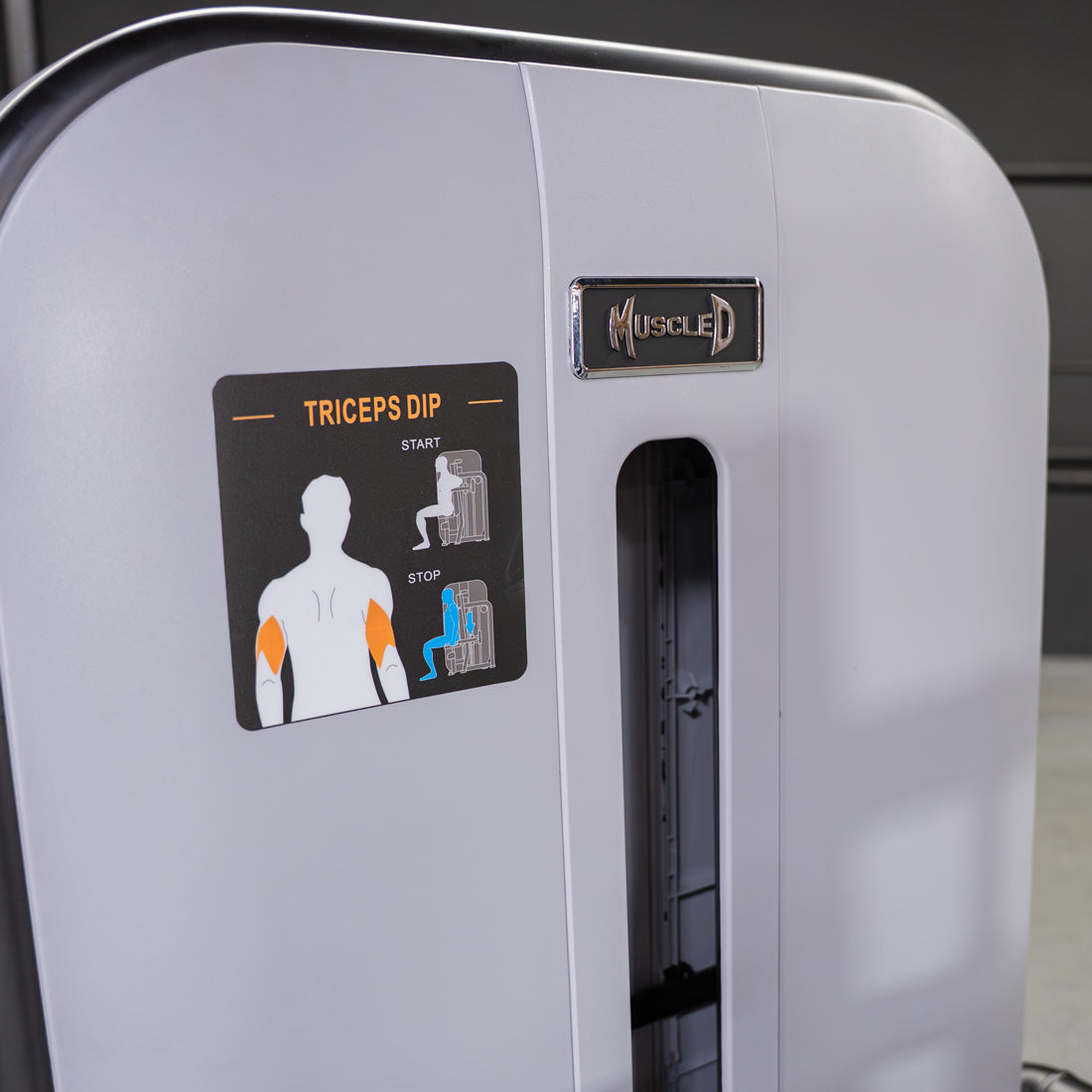 Muscle D Fitness - Vogue Seated Dip - Triceps Press-Down